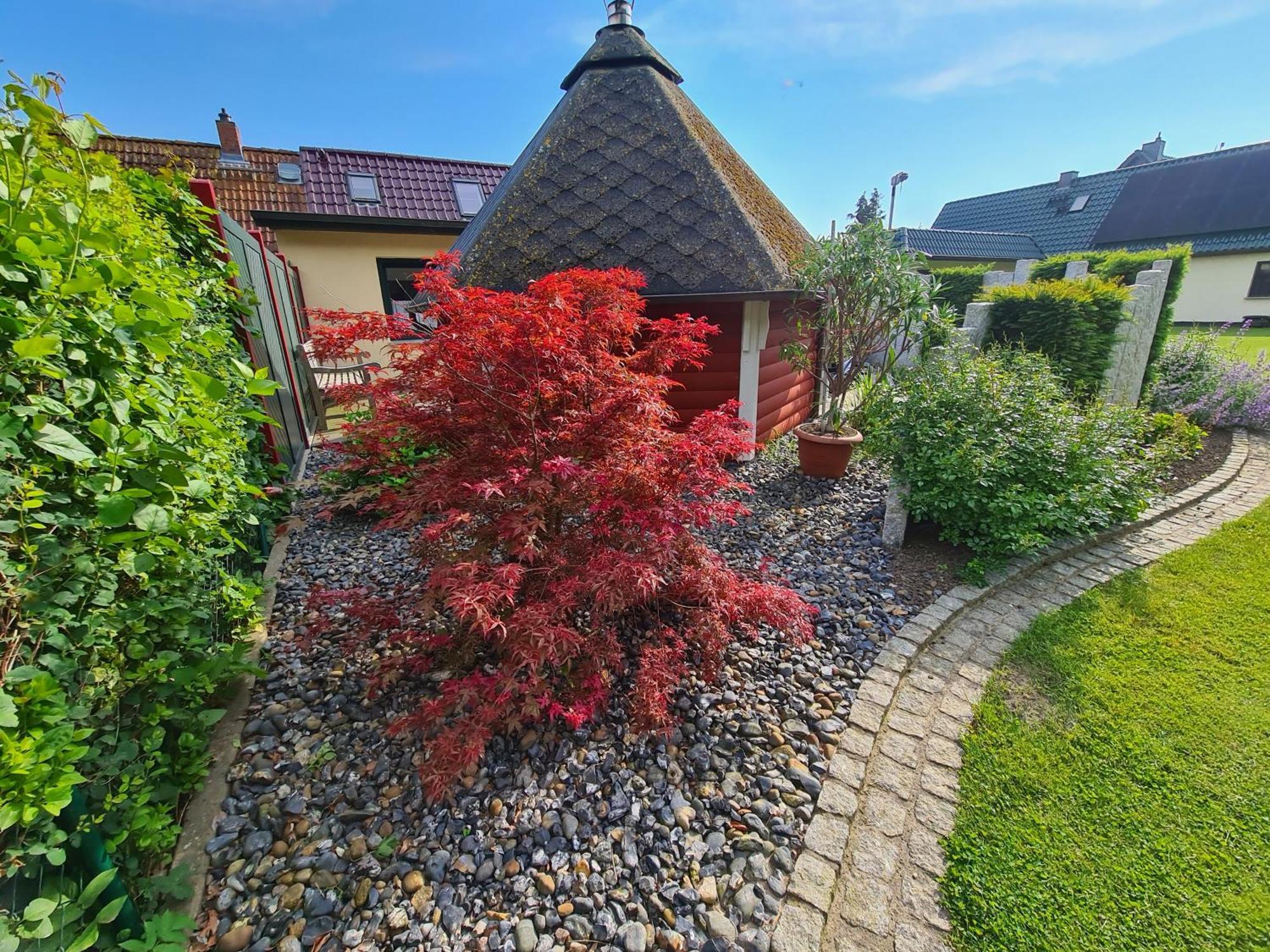 Ferienhaus Saupe Schaprode Ngoại thất bức ảnh